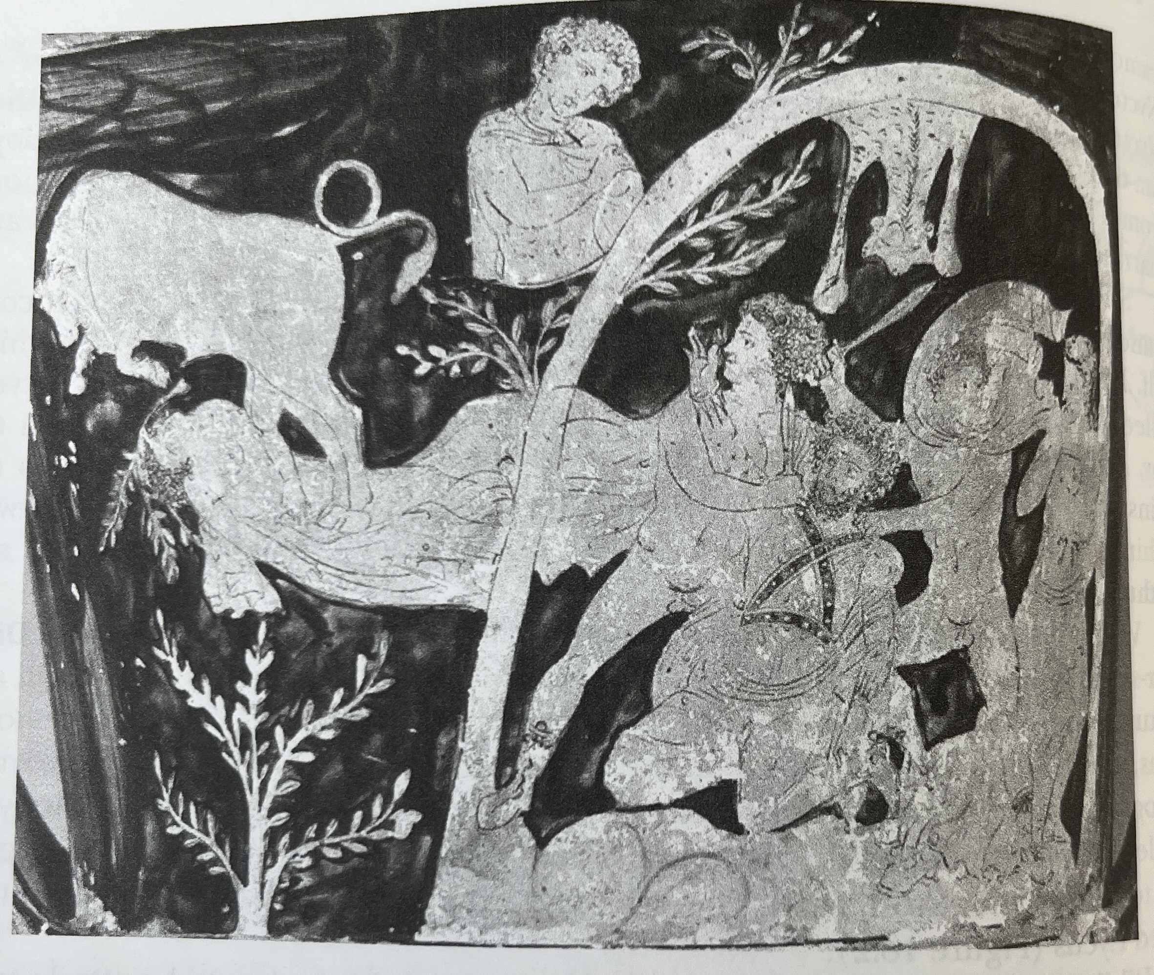 term image