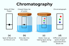 <p>What separation technique does the following diagram show?</p>