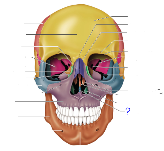 <p>(?)</p>