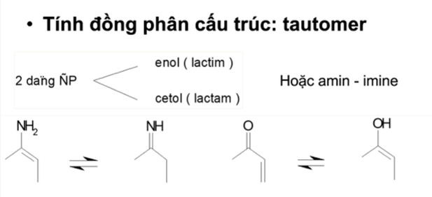 <p>Thay đổi vị trí H kèm theo đó là sự thay đổi vị trí nối đôi.</p><p>Amin(lactim)→imine(lactam):NH<sub>2</sub>-C=C→NH=C-C Cetol(lactam)→enol(lactim):O=C-C=C→OH-C=C-C</p><p>→các ĐP tautomer có thể gây bắt cặp sai</p>