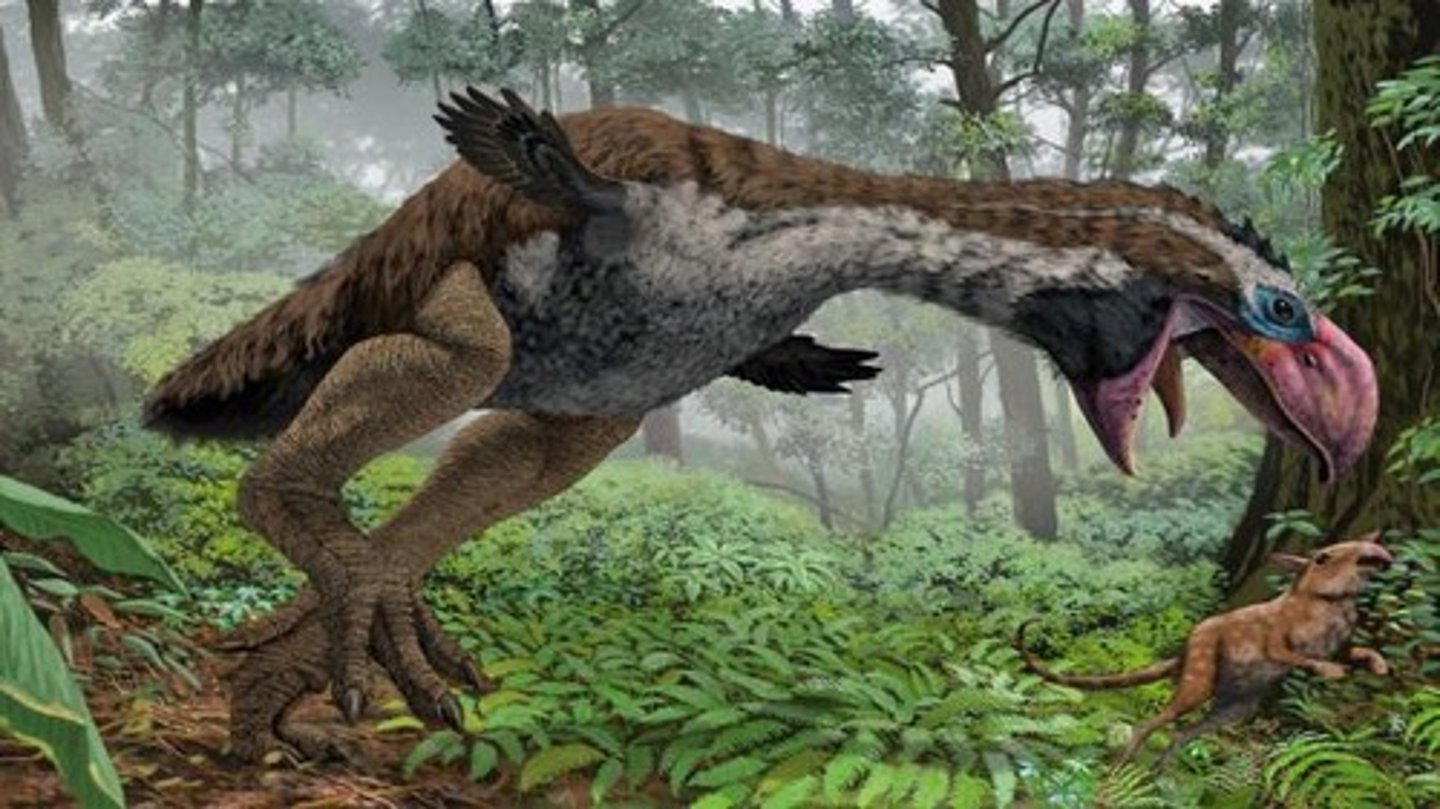 <p>Terror Birds.</p>