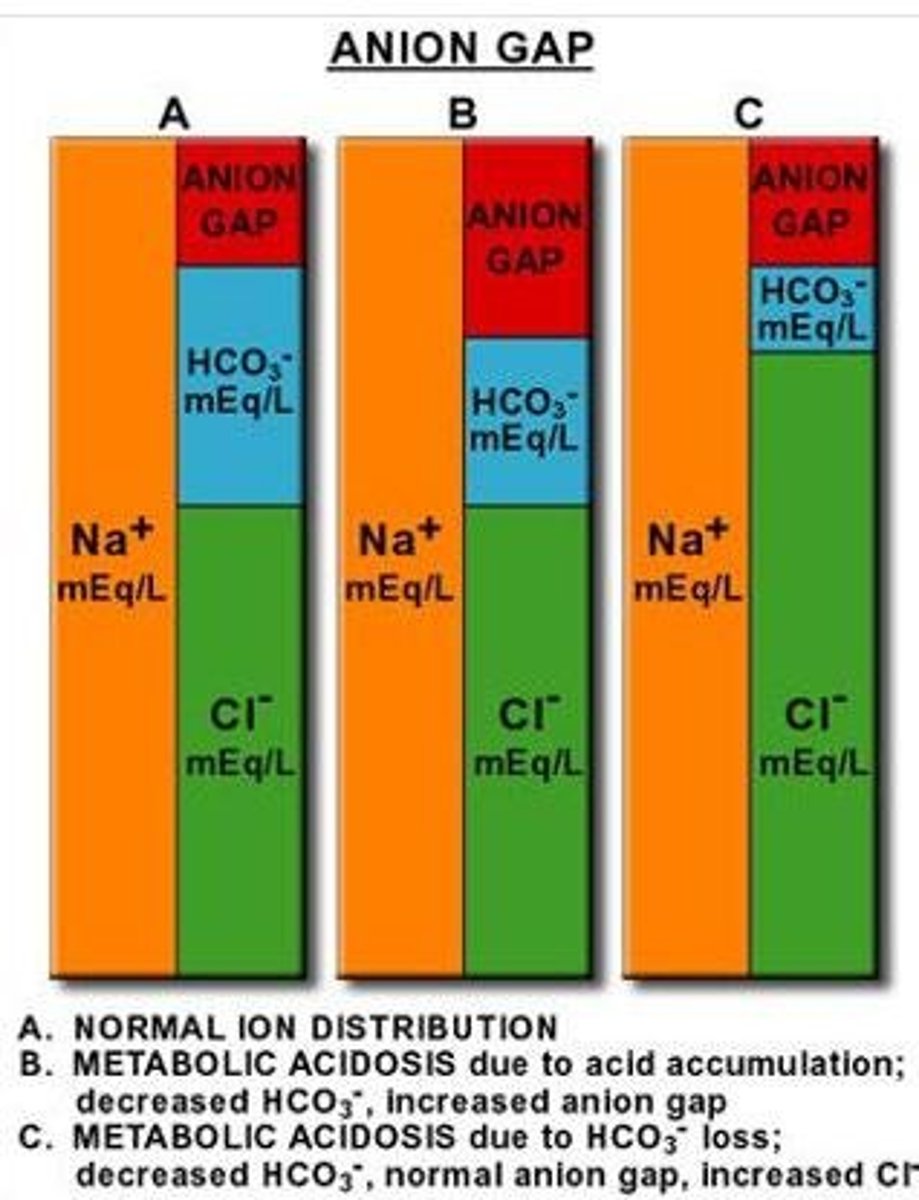 <p>Include ketoacidosis, lactic acidosis, renal failure, and toxins.</p>