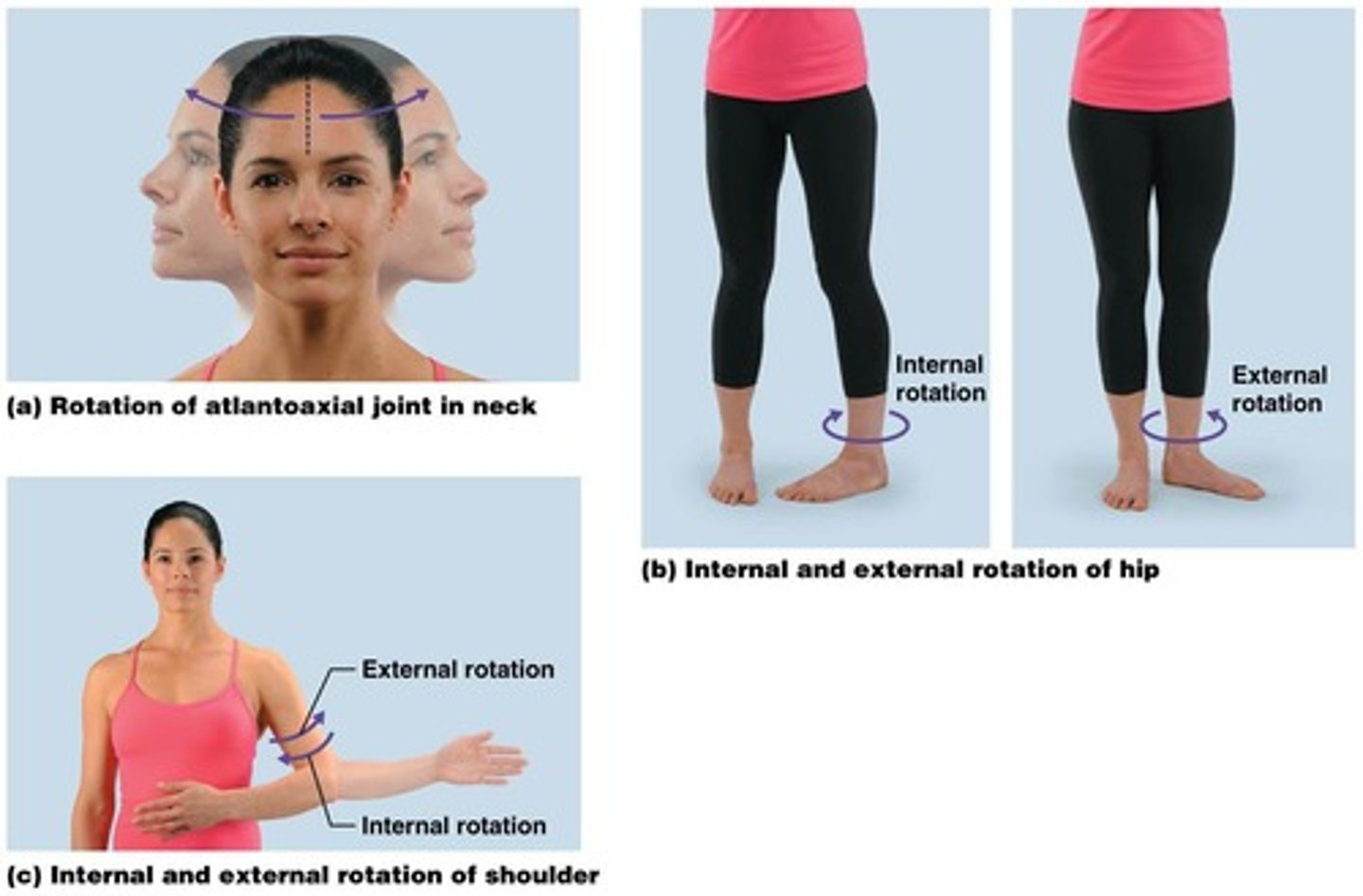 <p>A non-angular, pivoting motion where one bone rotates along its longitudinal axis.</p>