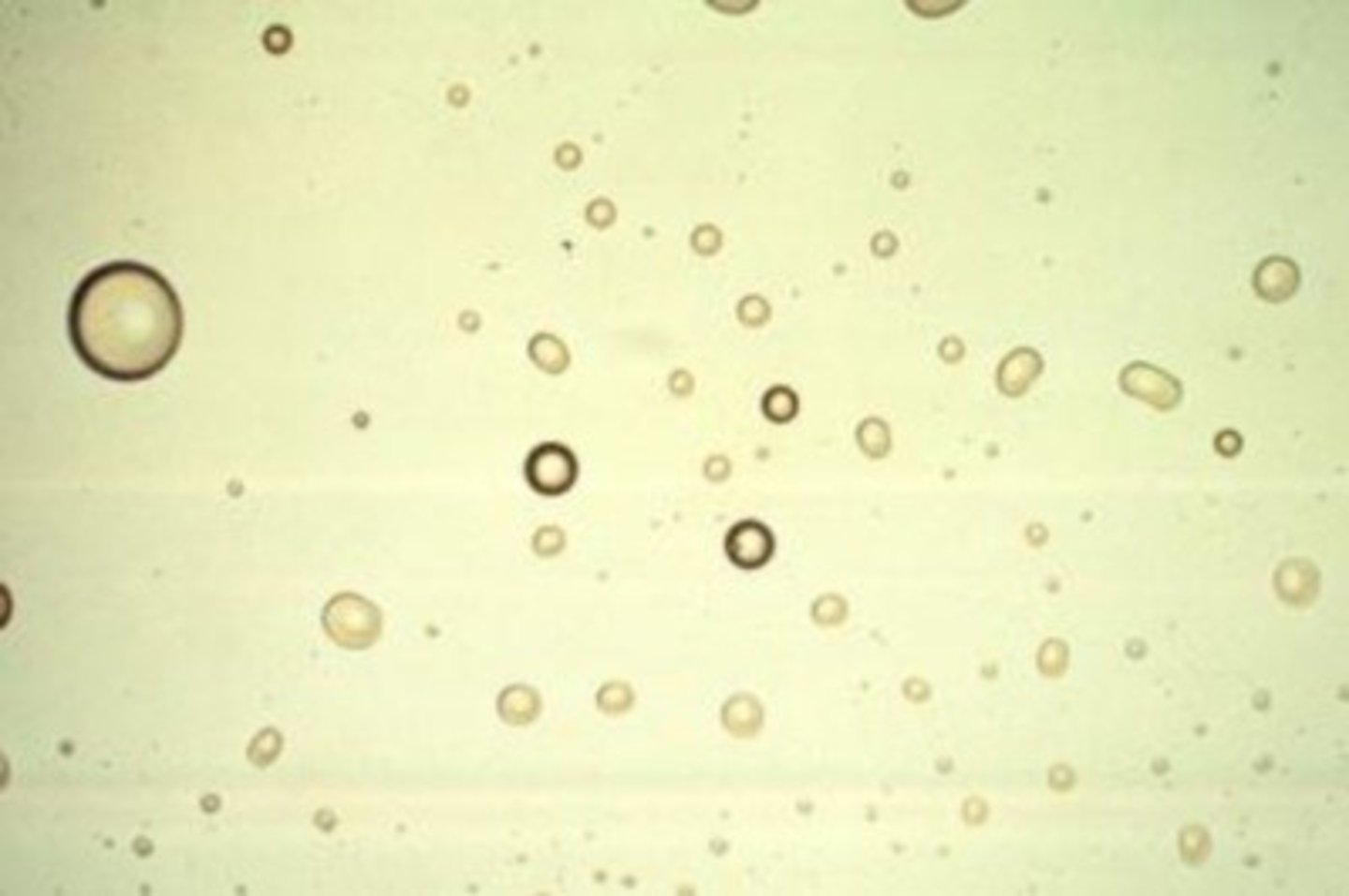 <p>artifacts</p>