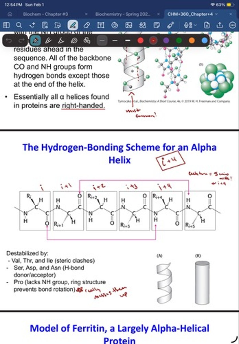 <p>- Val, Thr, and Ile (steric clashes)</p><p>- Ser, Asp, and Asn (H-bond</p><p>donor/acceptor)</p><p>- Pro (lacks NH group, ring structure</p><p>prevents bond rotation)* really messed them up*</p>