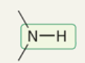 <p>wavenumber of secondary amines</p>