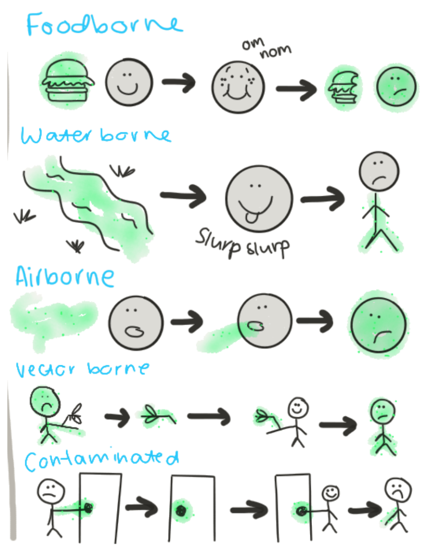 * air
  * droplet transmission
  * dried secretions suspended in the air
* food
  * poor hygiene and careless handling
* water
  * Can carry diseases if not purified


* vectorborne
  * organisms like mosquitoes transmitting diseases
* vehicleborne/contaminated
  * non-living substances or objects contaminated by infectious agents