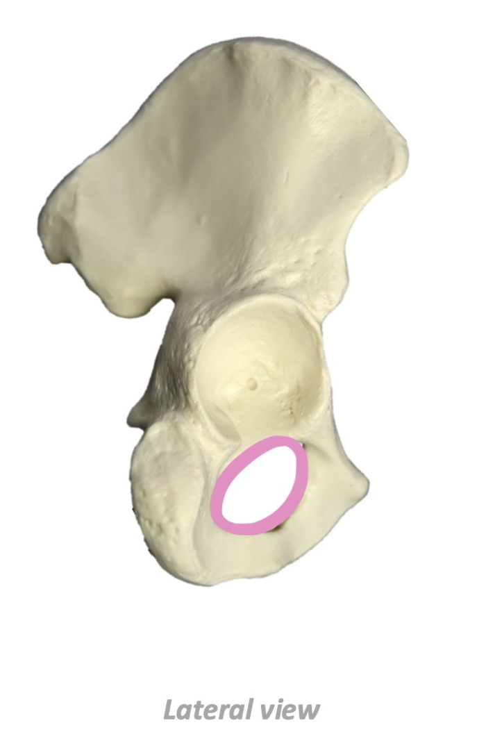 term image