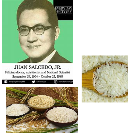 <p>He created “Enriched Rice”, a kind of rice enhanced with vitamin B1, which aids in the prevention of beriberi in the Philippines and other nations.</p>