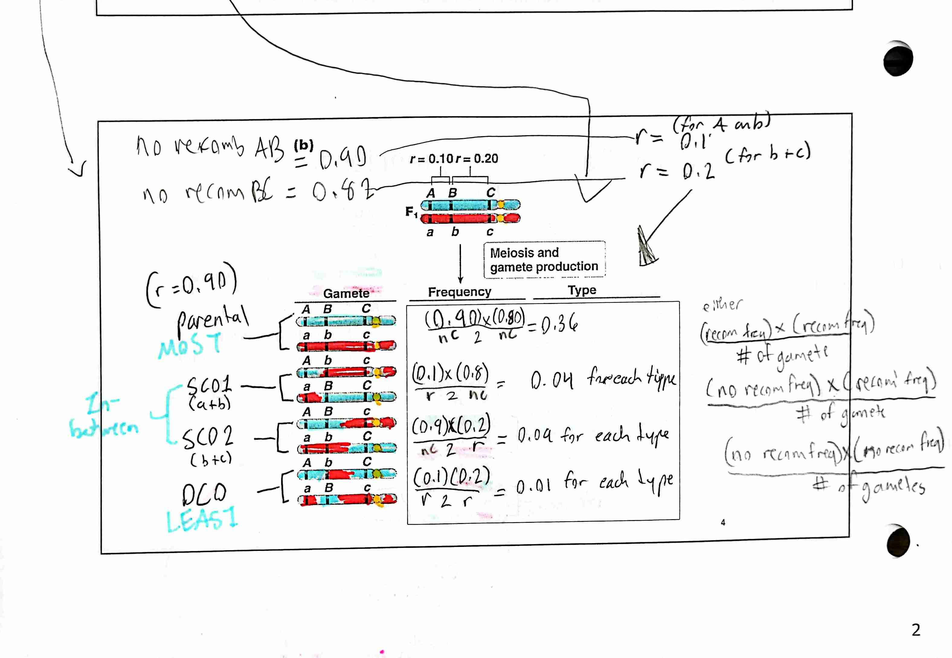 knowt flashcard image