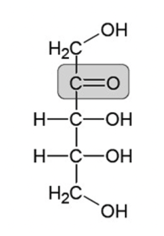 <p>Is this an example of an aldose or a ketose?</p>
