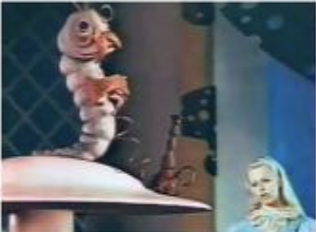 <p>Alice in Wonderland</p>