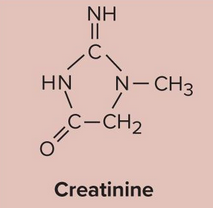 <p>Creatinine</p>