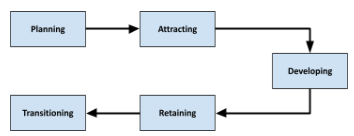 <p>What flowchart is this<br><br>Note: from me make a acronym for that!<br><br>PADRT</p>