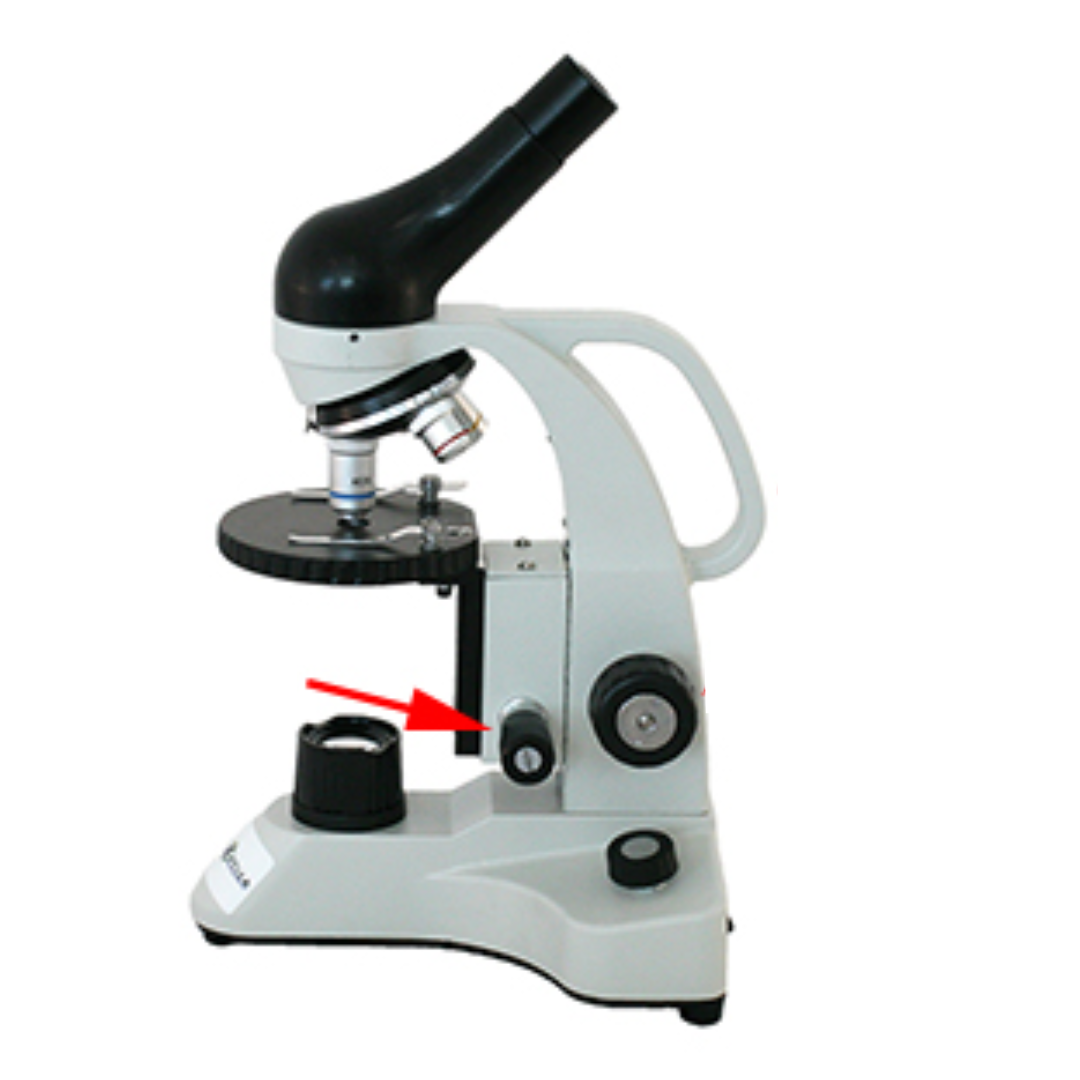 <p>It is the smaller knob used for making very precise focus adjustments, helping to sharpen the image and improve clarity, especially when using the high power objective.</p>