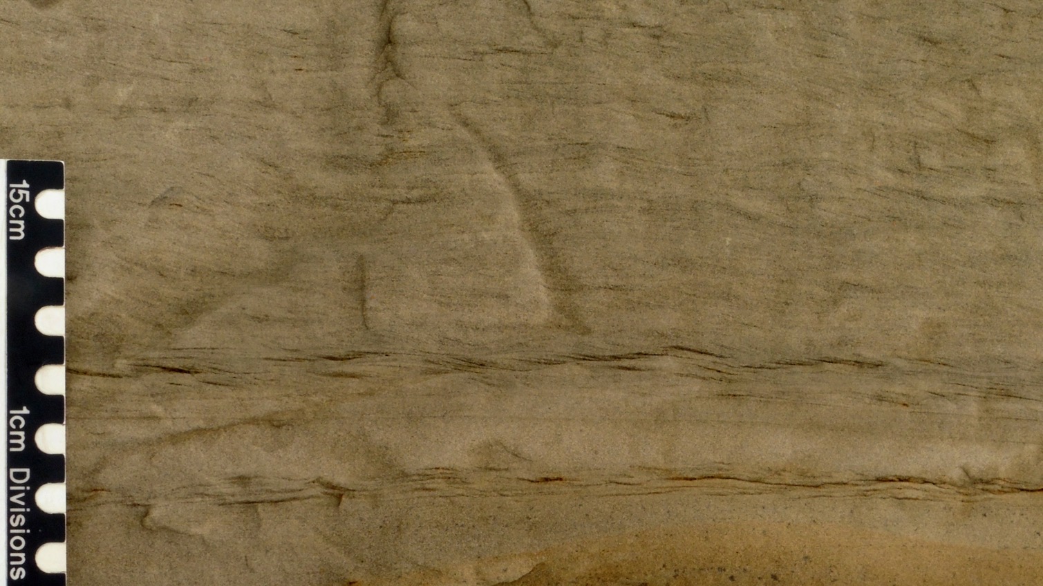 <p>describe this photo</p>