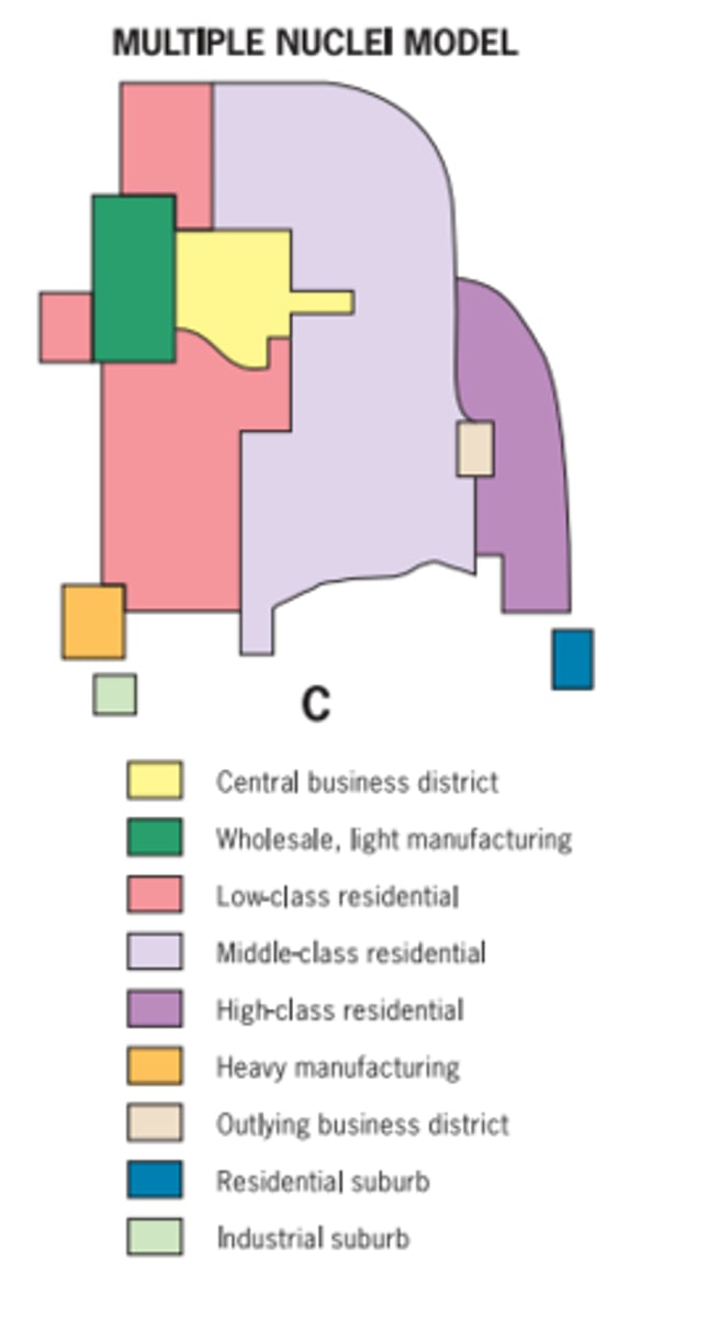 <p>In 1945, Chauncy Harris and Edward Ullman created a new model of urban growth in North American cities: the multiple nuclei model. Central business district, light manufacturing and wholesale, lower class residential, industrial park, heavy industry</p>