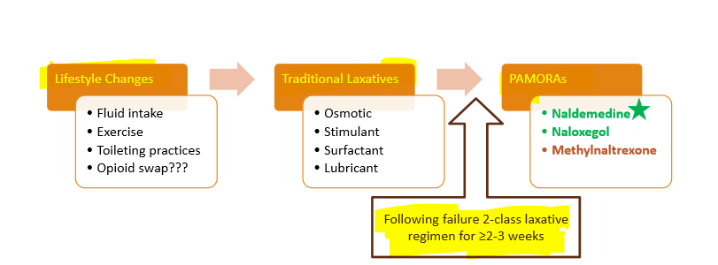 <ol><li><p>lifestyle changes</p></li><li><p>traditional laxatives</p></li><li><p>PAMORAs</p></li></ol><p></p>