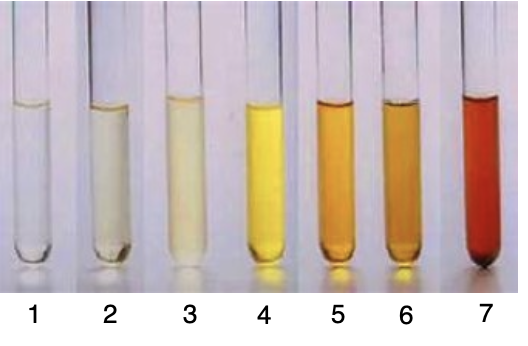 <p><span>How would you document the color in each test tube?</span></p><p></p>