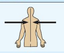 <p>toward or at the midline of the body on the inner side of </p><p></p><p>example: the heart is medial to the arm </p><p></p><p></p>