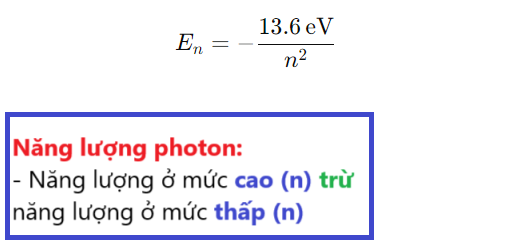 <p><strong>C</strong></p>