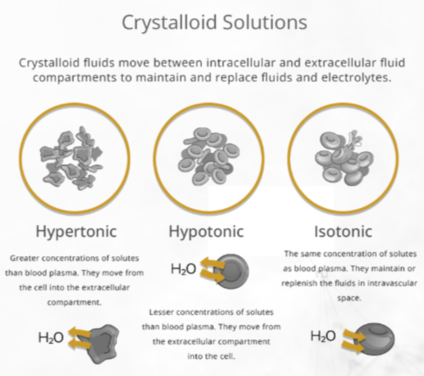 <p>- fluids that supply H2O, electrolytes, &amp; other solutes (eg. glucose)</p><p>- moves easily btw ECF &amp; ICF, tonicity dictates fluid movement (especially Na+ amount and dextrose)</p>