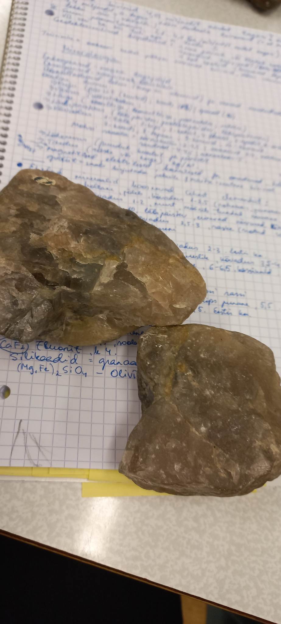 knowt flashcard image