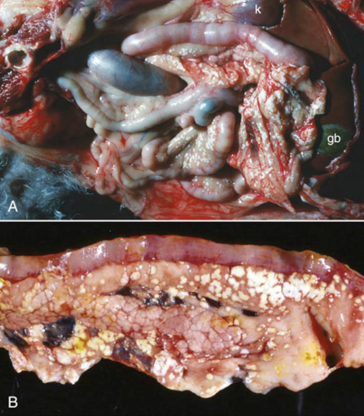 <p>What is this an image of?</p>