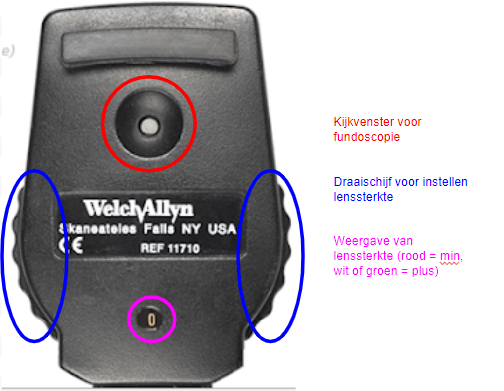 <p>Bekijk dit onderdeel met een ophthalmoscoop met de grootste lichtbron op halve helderheid. Houdt de ophthalmoscoop op 3-4cm van het oog en kijk met jouw rechteroog naar het rechteroog van de hond (jouw linkeroog voor de linkeroog van de hond)</p><p></p><p>Inspectie van:</p><ul><li><p>Papil</p></li><li><p>Bloedvaten</p></li><li><p>Tapetum lucidum</p></li><li><p>Tapetum nigrum</p></li></ul>