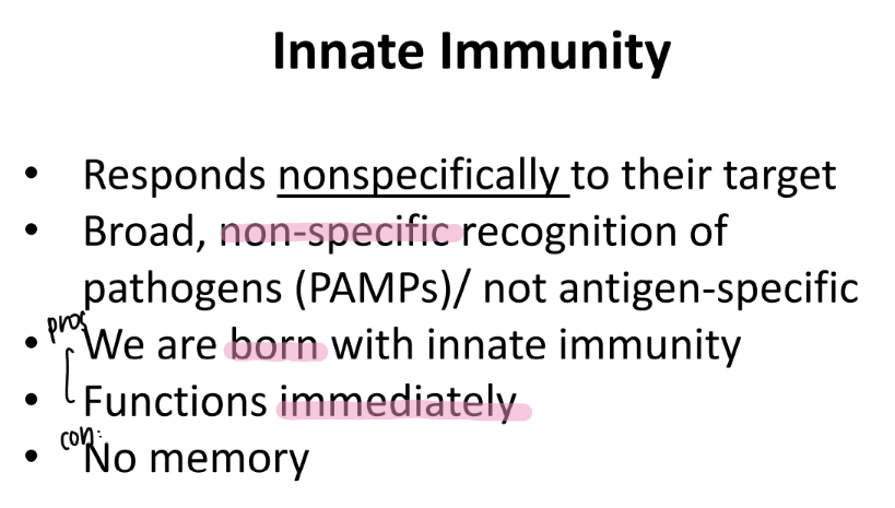 <p>BROAD recog of PATHOGENS via PAMPs. </p><p>pros: born w/ it, fast</p><p>cons: no mem</p>