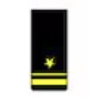 <p>One gold 1/2-inch stripe below one 1/4-inch stripe below a gold five pointed star (O2)</p>