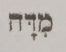 term image