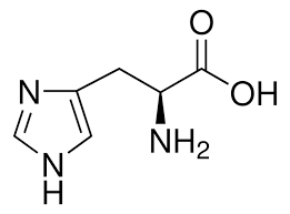 <p>N ring</p>