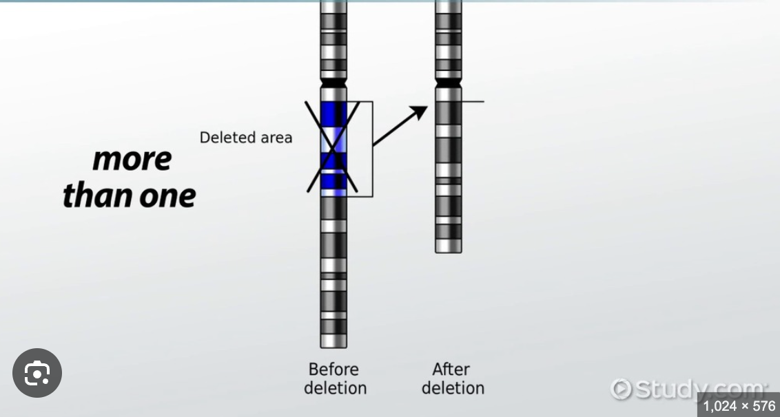 <p><span>a genetic mutation that occurs when a segment of DNA is missing</span></p>