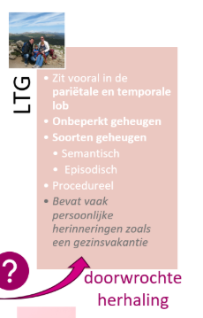 <ul><li><p>bevat alles wat je met <strong>woorden </strong>kan <strong>beschrijven</strong>, dit geheugen bevat<strong> feiten, kennis</strong> en <strong>concepten</strong>. vb. Weten dat Amsterdam de hoofdstad is van Nederland.</p></li></ul><p>(Langetermijngeheugen)</p>