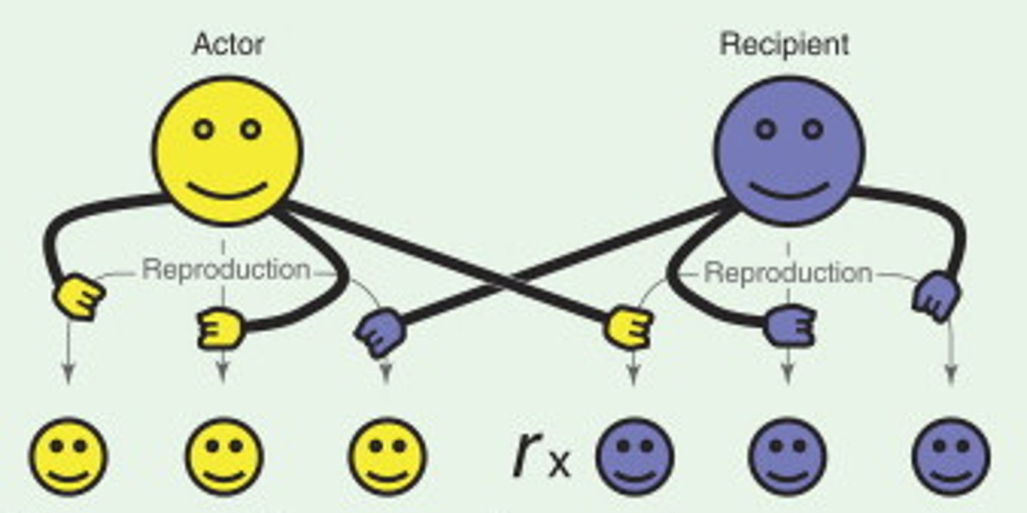 <p>sự hòa nhập/bao hàm</p><p>ex: the inclusion of all students is vital for success</p>
