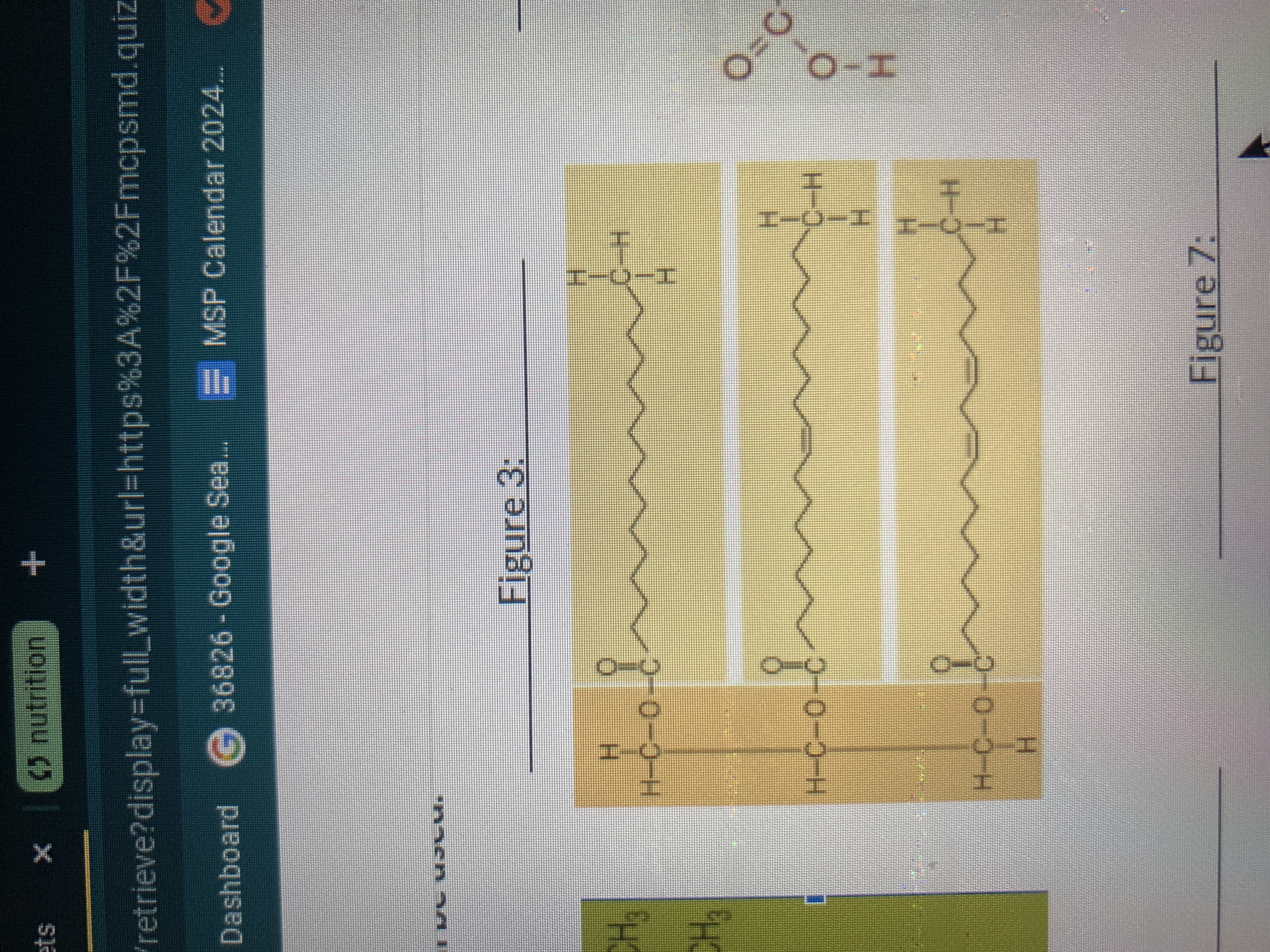 <p>what is this</p>