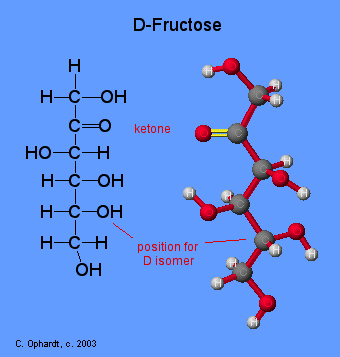 <p>hexose sugar; monomer of sucrose; ketone </p>