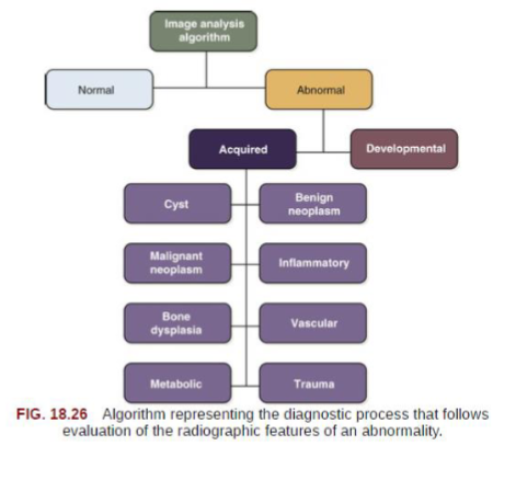 <ol><li><p>normal or abnormal </p></li><li><p>developmental or acquired </p></li><li><p>disease classification/category (if acquired) </p></li><li><p>ways to proceed </p></li></ol><p></p>