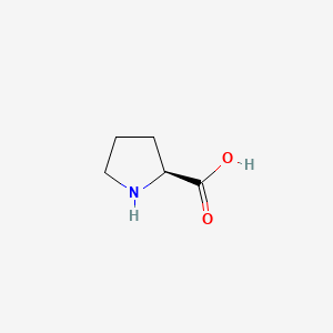 <p>what amino acid is this?</p><p>a. methionine</p><p>b. tryptophan</p><p>c. glycine</p><p>d. proline</p>
