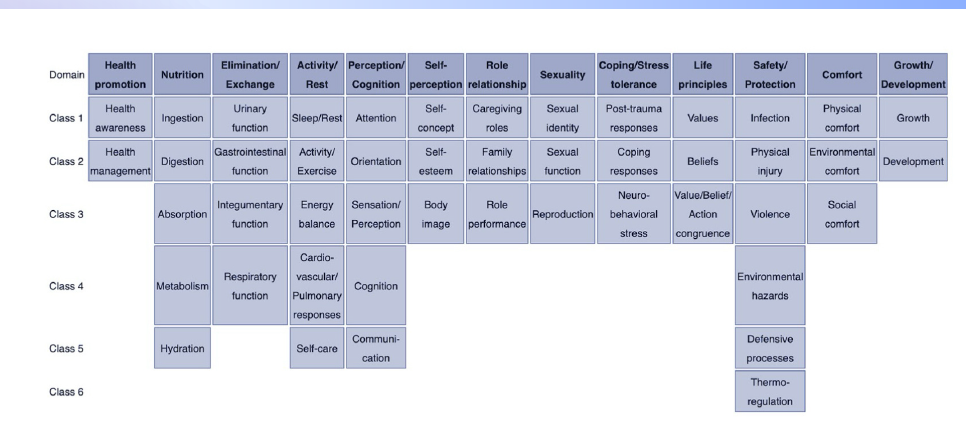 <p>The comprehensive list of nursing diagnoses</p><p>adopted by NANDA contains<strong> thirteen (13) </strong>domains</p><p>that represents a critical aspect of health, and<strong> six</strong></p><p><strong>(6) classes</strong> which provides specific focus areas</p><p>within those domains.</p>