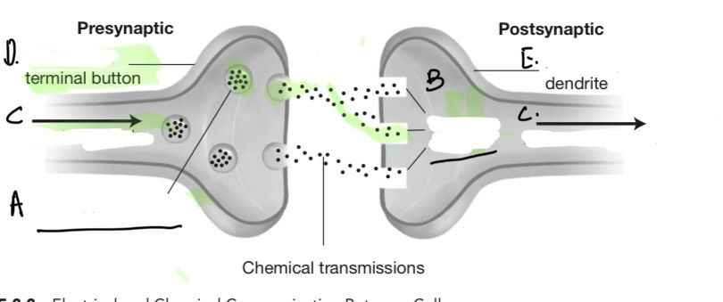 <p><span style="color: yellow">Label the parts</span></p>