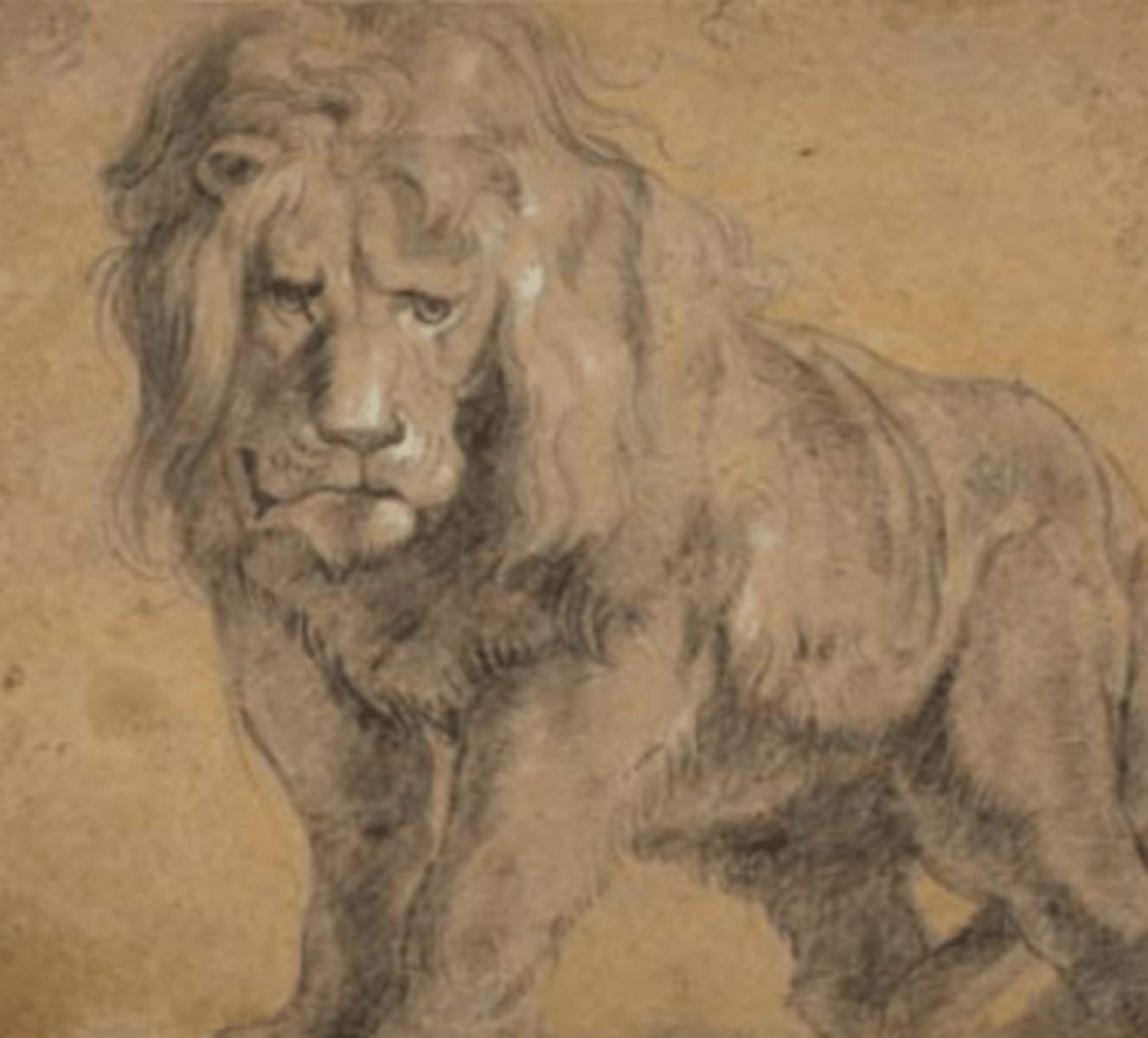 <p>"Calcium carbonate or soapstone." To use for highlights on drawings.</p>
