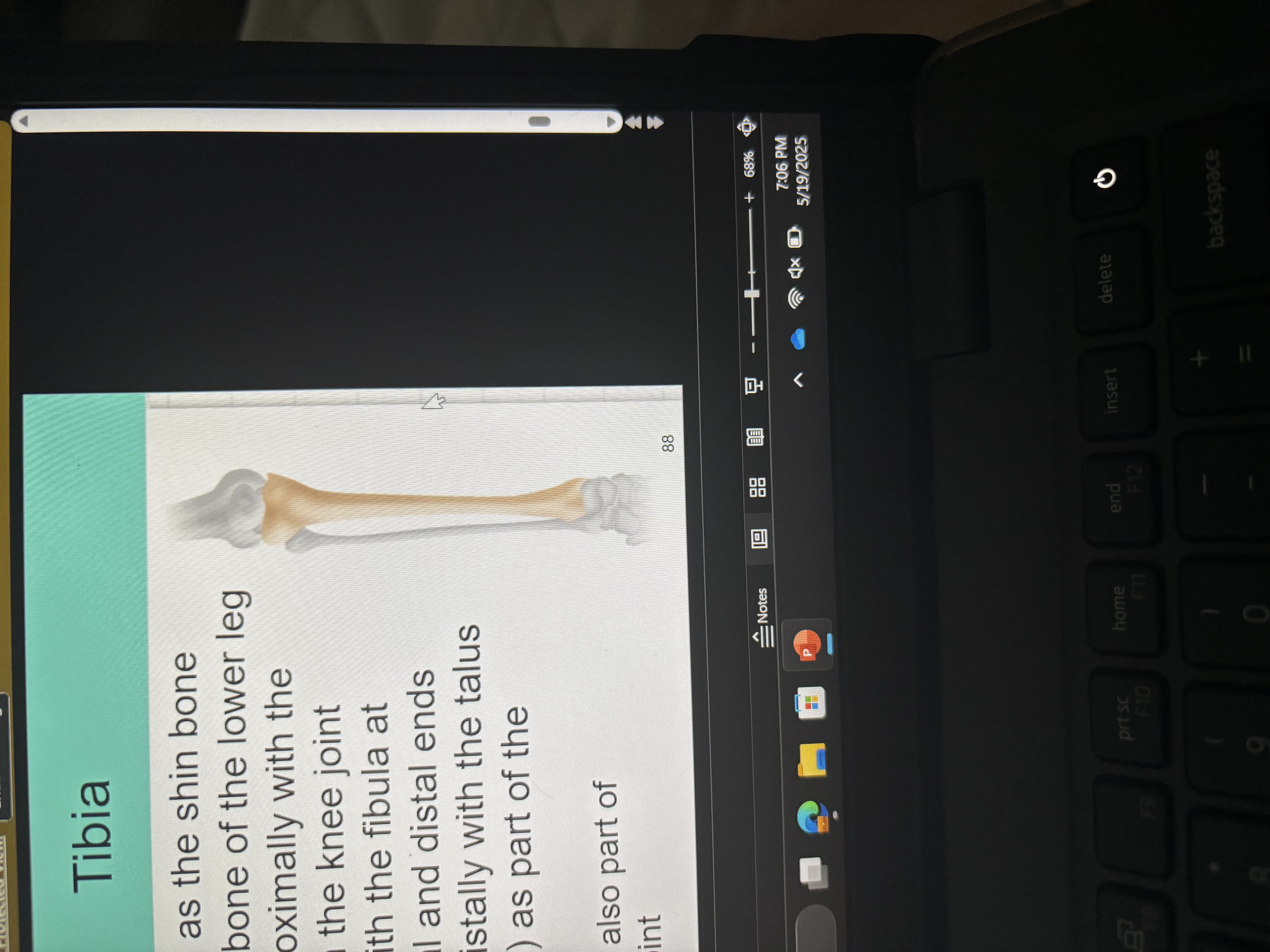 knowt flashcard image