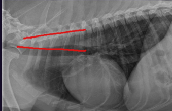 <p>What can we see here?</p>