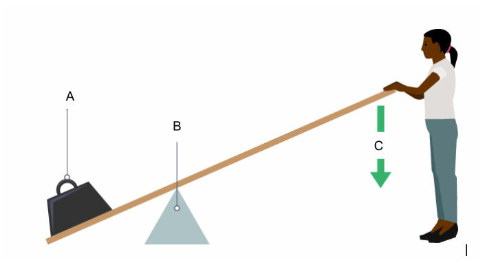 <p><span><span>Label the diagram of Phoebe pushing down on a lever:</span></span></p>