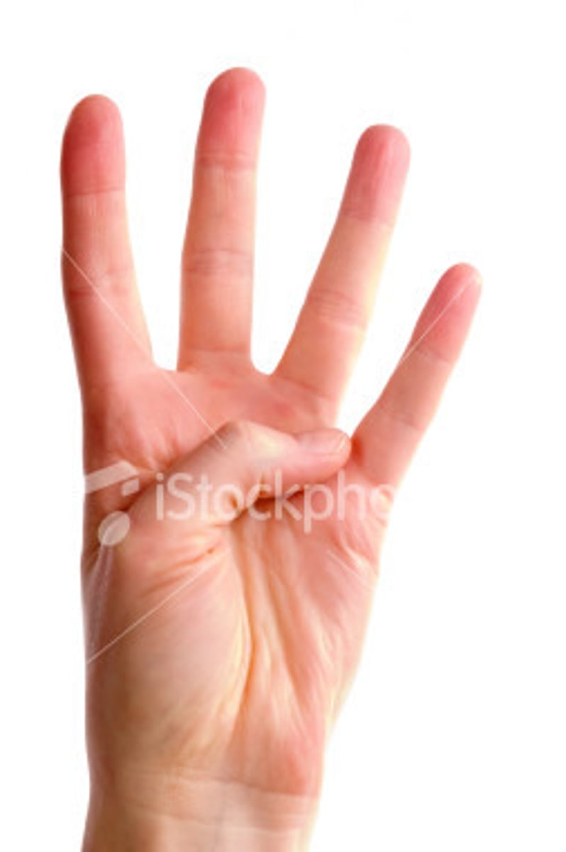 <p>fingers</p>