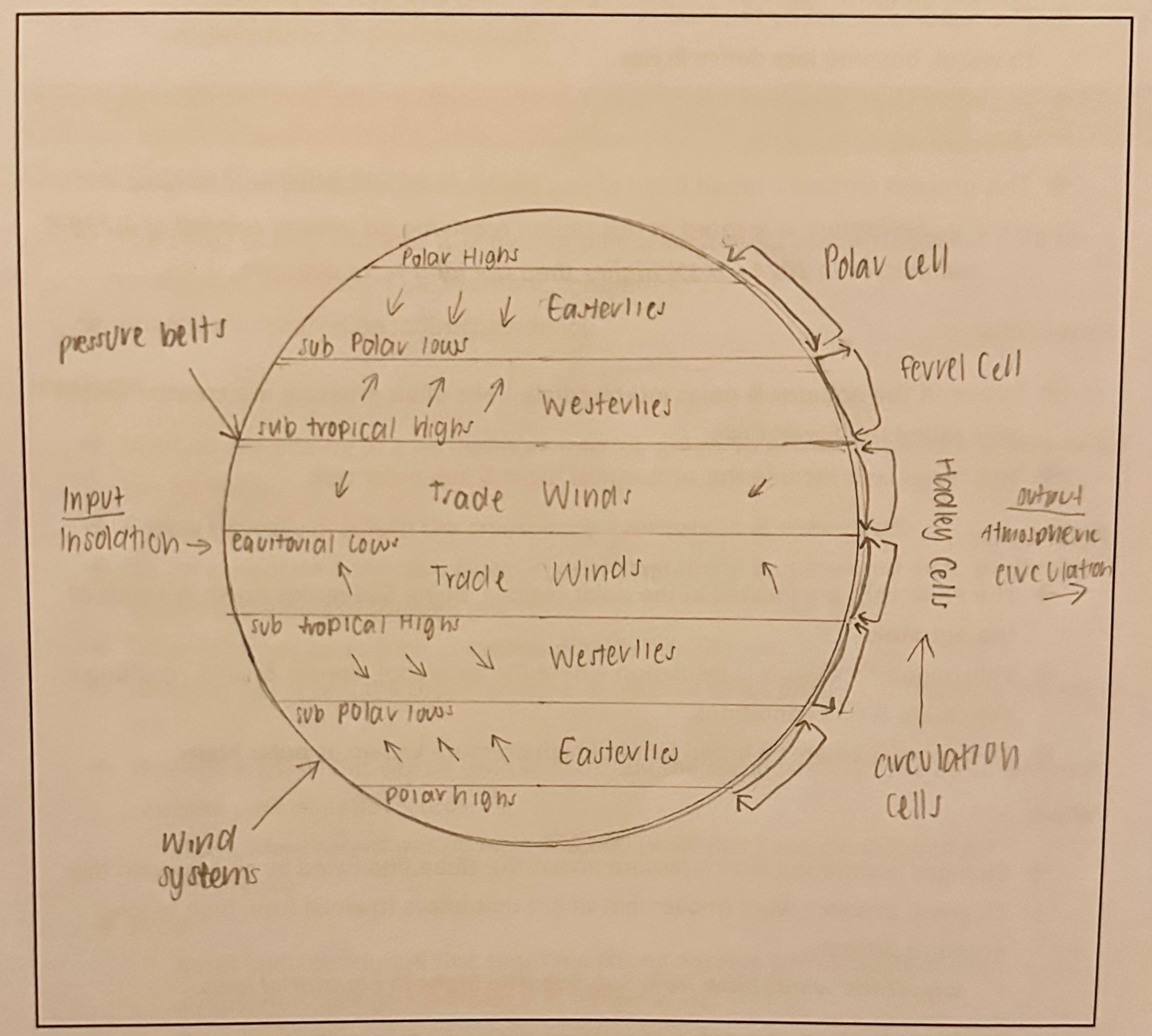 <p><span><strong>Definition of Atmospheric circulation: </strong></span><span style="font-family: Calibri, sans-serif">A system driven by insolation involving the large-scale movement of air &amp; controls the distribution of heat across the Earths surface, it is a major system that regulates global temperatures.</span></p><p></p><p><span style="font-family: Calibri, sans-serif"><strong>Description of Key Elements (How it Operates): <em>Extended Response Paragraph 1</em></strong></span></p><p class="MsoListParagraphCxSpFirst"><span>→ </span><span style="font-family: Calibri, sans-serif">Due to the tilt of the Earth’s axis &amp; the curvature of the Earth, there is uneven heating over the Earth’s surface which is responsible for variations in <strong>air pressure &amp; wind systems.</strong></span></p><ul><li><p class="MsoListParagraphCxSpMiddle"><span style="font-family: Calibri, sans-serif">This is because more heat is generated at the equator than in the poles.</span></p></li></ul><p class="MsoListParagraphCxSpMiddle"><span>→ </span><span style="font-family: Calibri, sans-serif">To redistribute &amp; equalise this heat, three atmospheric circulation systems (cells) circling the Earth exist including:</span></p><ul><li><p class="MsoListParagraphCxSpMiddle"><strong>Hadley cell</strong></p></li><li><p class="MsoListParagraphCxSpMiddle"><strong>Ferrel cell</strong></p></li><li><p class="MsoListParagraphCxSpLast"><strong>Polar cell</strong></p></li></ul><p class="MsoListParagraphCxSpLast"></p><p class="MsoNormal"><span style="font-family: Calibri, sans-serif"><strong>Hadley Cells:</strong></span></p><p class="MsoListParagraphCxSpFirst"><span>→ </span><span style="font-family: Calibri, sans-serif">The Hadley cells are the largest cells extending form the equator (indicated on the right of the diagram) to approximately <strong>30degrees north</strong> &amp; <strong>south</strong> <strong>of the equator.</strong></span></p><p class="MsoListParagraphCxSpMiddle"><span>→ </span><span style="font-family: Calibri, sans-serif">It is referred to as the heat engine following the overhead sun (heat equator).</span></p><p class="MsoListParagraphCxSpMiddle"><span>→ </span><span style="font-family: Calibri, sans-serif">The region covered by the Hadley cell receives the most direct insolation causing air to warm, become less dense &amp; rise.</span></p><p class="MsoListParagraphCxSpMiddle"><span>→ </span><span style="font-family: Calibri, sans-serif">As the air rises, it cools &amp; condenses forming clouds resulting in cloudy, unstable &amp; wet conditions (rainfall).</span></p><p class="MsoListParagraphCxSpMiddle"><span>→ </span><span style="font-family: Calibri, sans-serif">This process creates a broad band of low pressure known as equatorial lows.</span></p><ul><li><p class="MsoListParagraphCxSpLast"><strong><em>E.g.,&nbsp;Singapore is located in this region receiving an annual rainfall of 2,739.8 millimetres in 2024 – 8.1% higher than the long-term average.</em></strong></p></li></ul><p class="MsoNormal"></p><p class="MsoNormal"><span style="font-family: Calibri, sans-serif"><strong>Ferrel Cells:</strong></span></p><p class="MsoListParagraphCxSpFirst"><span>→ </span><span style="font-family: Calibri, sans-serif">Between the equator &amp; poles intermediate belts of air pressure are created within cells called the Ferrel Cells.</span></p><p class="MsoListParagraphCxSpLast"><span>→ </span><span style="font-family: Calibri, sans-serif">The Ferrel cells include the subtropical highs &amp; sub polar cells.</span></p><p class="MsoNormal"></p><p class="MsoNormal"><span style="font-family: Calibri, sans-serif"><strong>Polar Cells:</strong></span></p><p class="MsoListParagraphCxSpFirst"><span>→ </span><span style="font-family: Calibri, sans-serif">The Polar cells are located in the polar regions, <strong>being 60degrees north </strong>&amp;<strong> south of the equator.</strong></span></p><p class="MsoListParagraphCxSpMiddle"><span>→ </span><span style="font-family: Calibri, sans-serif">This region receives less insolation where the air is cool, denser &amp; sinks resulting in dry stable &amp; fine conditions.</span></p><p class="MsoListParagraphCxSpLast"><span>→ </span><span style="font-family: Calibri, sans-serif">This process creates a broad band of high pressure known as <strong>polar highs.</strong></span></p><p class="MsoNormal"></p><p class="MsoNormal"><span style="font-family: Calibri, sans-serif"><strong>Wind:</strong></span></p><p class="MsoListParagraphCxSpFirst"><span>→ </span><span style="font-family: Calibri, sans-serif">Changes &amp; variation in air pressure across the globe (indicated by an arrow on the diagram) produce wind (movement of air) that blows (travels) from high to low pressure systems.</span></p><p class="MsoListParagraphCxSpLast"><span>-</span><span style="font-size: 7pt; font-family: &quot;Times New Roman&quot;">&nbsp;&nbsp;&nbsp;&nbsp;&nbsp;&nbsp;&nbsp;&nbsp;&nbsp; </span><span style="font-family: Calibri, sans-serif"><strong><em>E.g., trade winds blow from Sub-Saharan highs to equatorial lows.</em></strong></span></p>