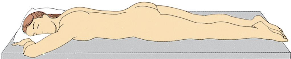 <p>POSTERIOR THORAX O LITHOTOMY = VAGINAL EXAMINATION</p>