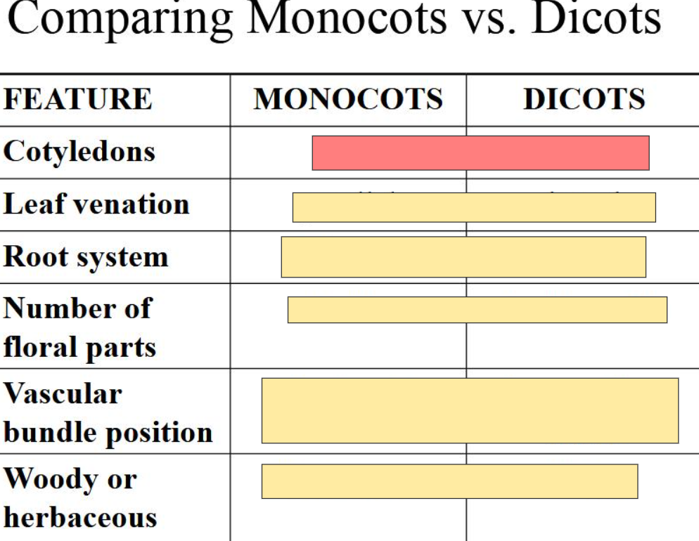 <p>answer in this format:<br>M- (answer)<br>D- (answer)</p>